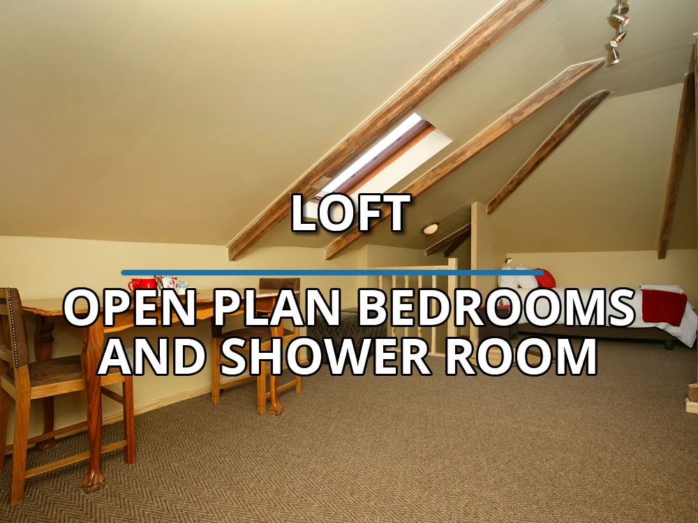 BACKPACKERS FEATURE 2